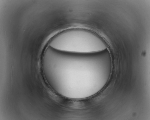 X0000102231318200807250759