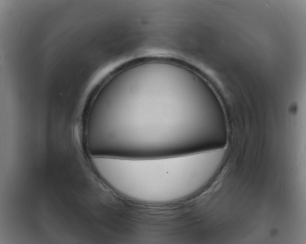 X0000102231319200807250759