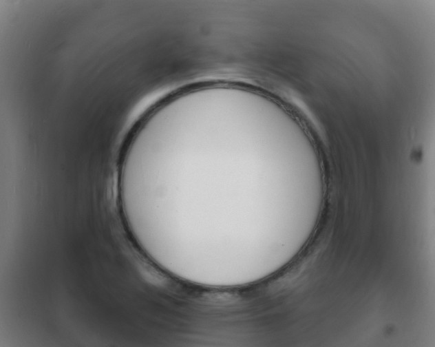 X0000102231320200807250759