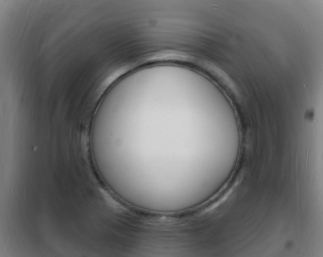 X0000102231321200807250759