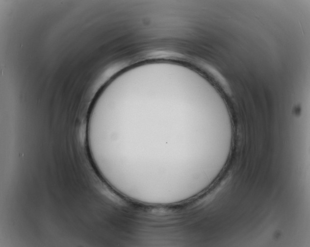 X0000102231322200807250759