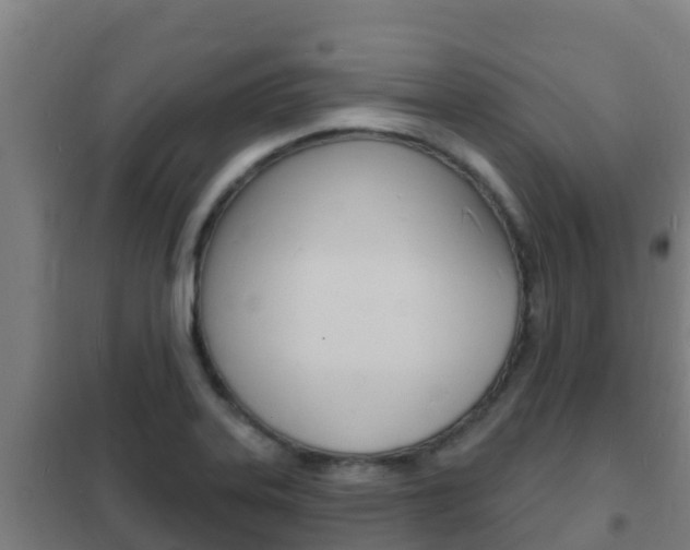 X0000102231323200807250759