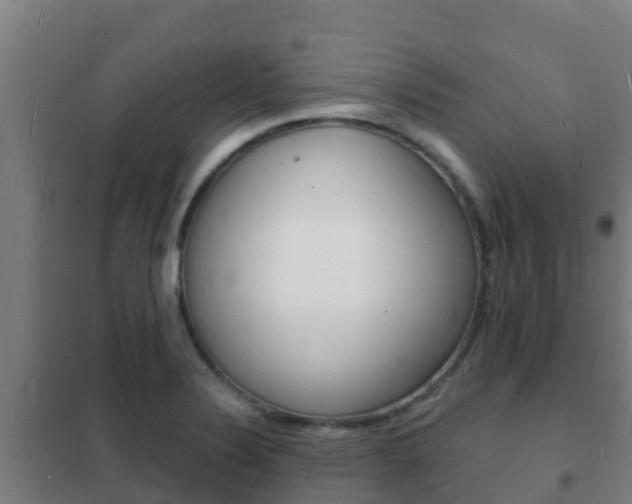 X0000102231324200807250759