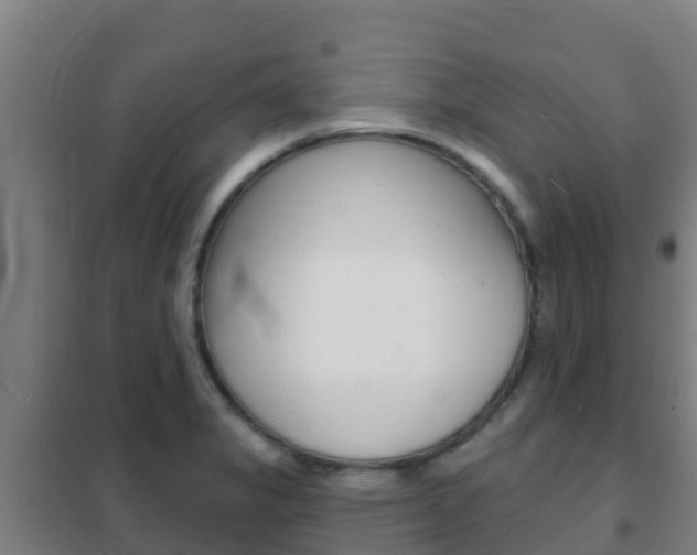 X0000102231325200807250759