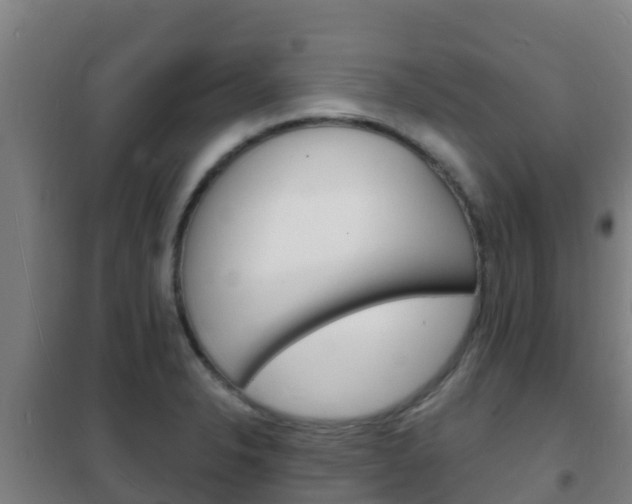 X0000102231326200807250759