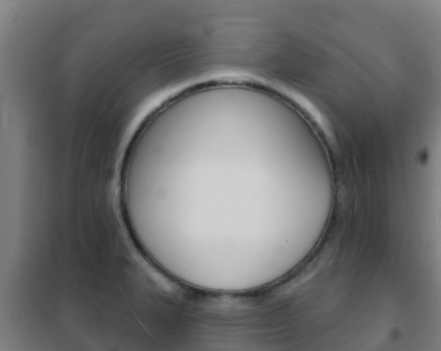 X0000102231327200807250800