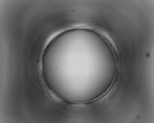 X0000102231328200807250800