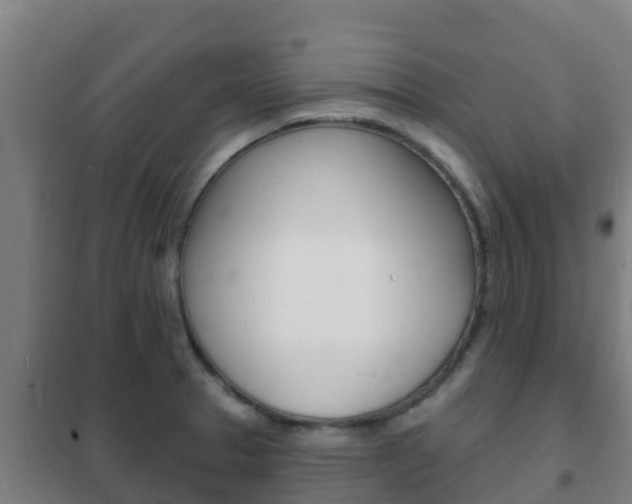 X0000102231329200807250800