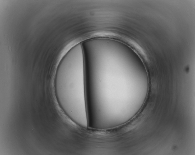 X0000102231330200807250800