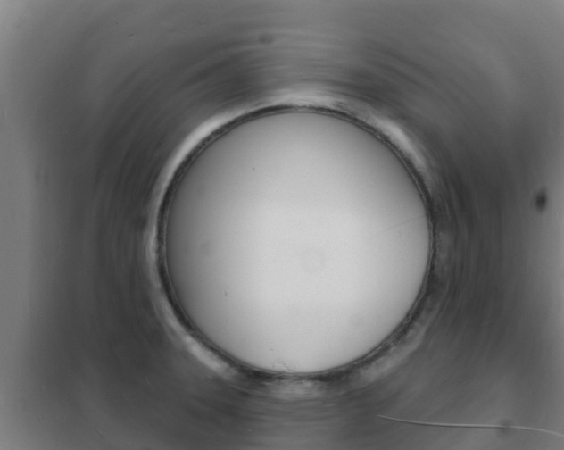 X0000102231331200807250800