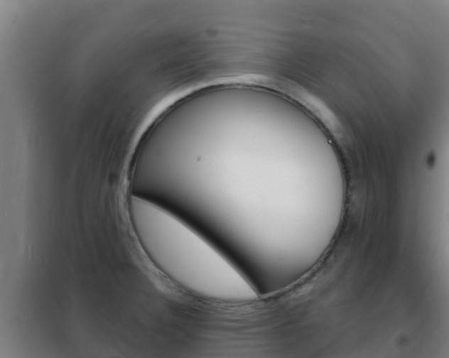 X0000102231332200807250800