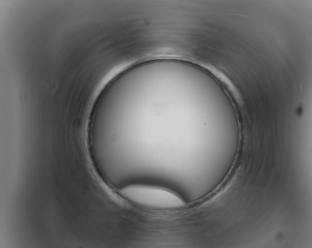 X0000102231333200807250800