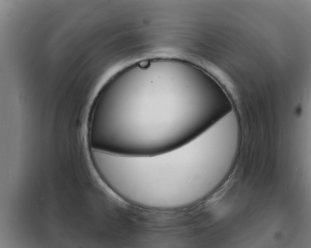 X0000102231334200807250800