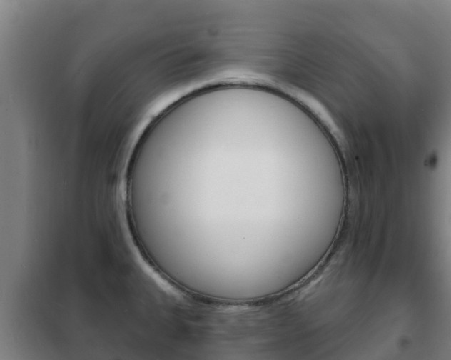 X0000102231335200807250800