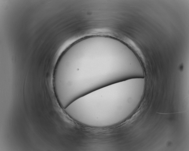 X0000102231336200807250800