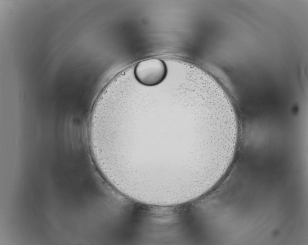 X0000102231338200807250800