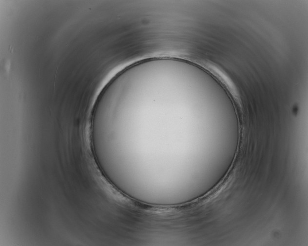 X0000102231340200807250800