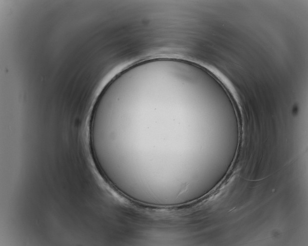 X0000102231341200807250800