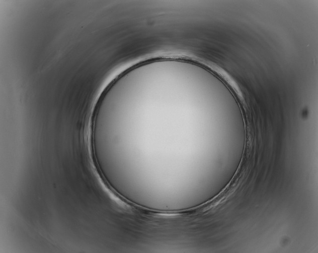 X0000102231343200807250800