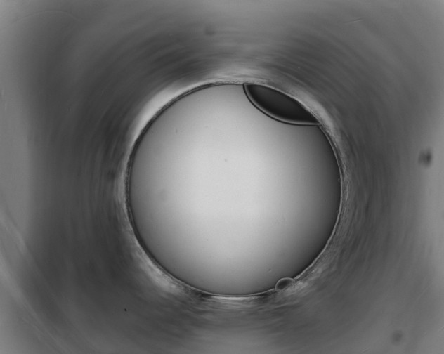 X0000102231344200807250800