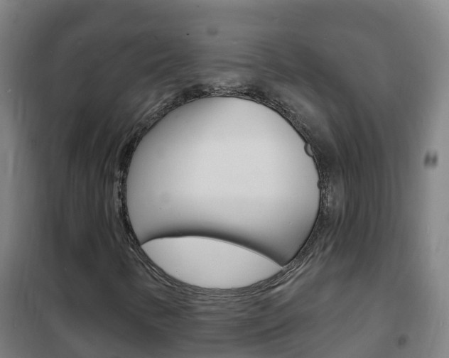 X0000102231346200807250759