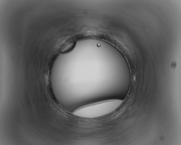 X0000102231348200807250759