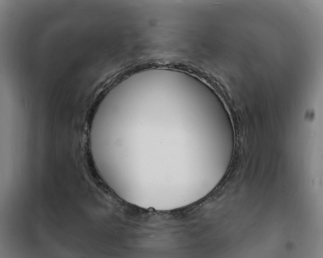 X0000102231349200807250759