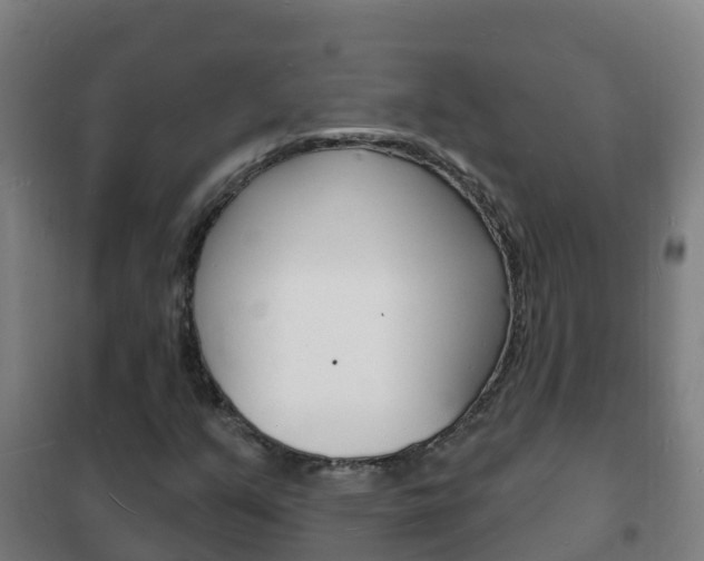 X0000102231351200807250759