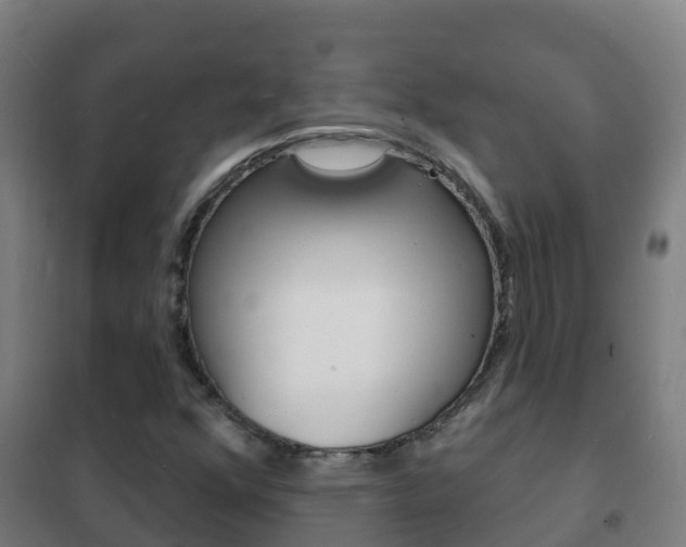 X0000102231352200807250759