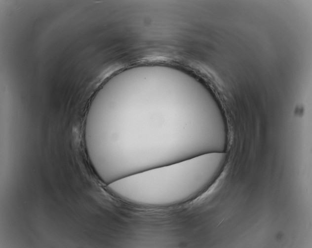 X0000102231353200807250759