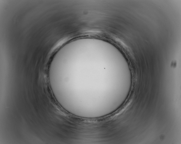 X0000102231354200807250759