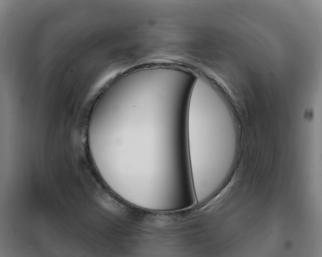 X0000102231355200807250759