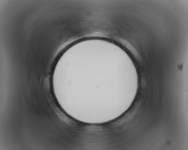 X0000102231356200807250759
