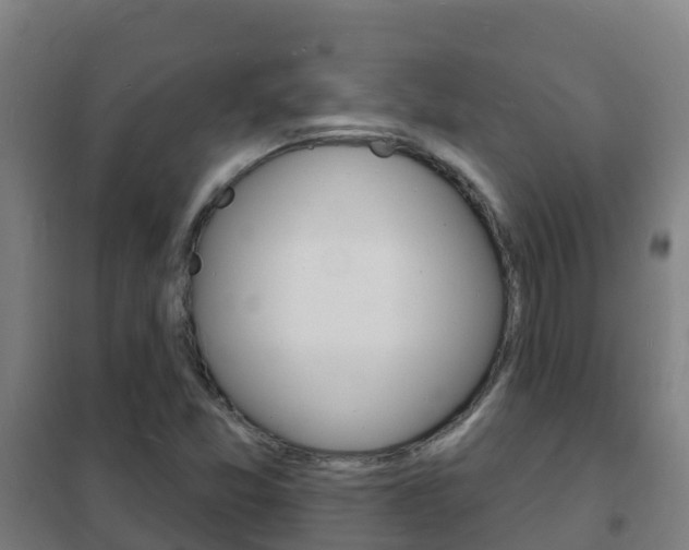 X0000102231357200807250759
