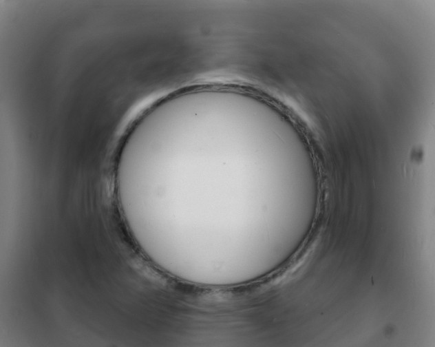 X0000102231358200807250759