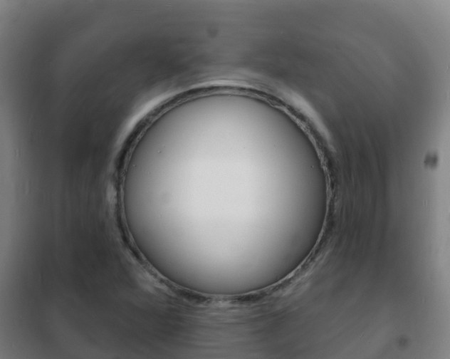 X0000102231360200807250759