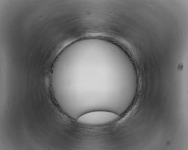 X0000102231361200807250759