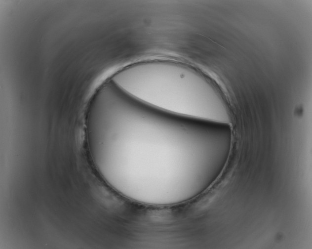 X0000102231363200807250759