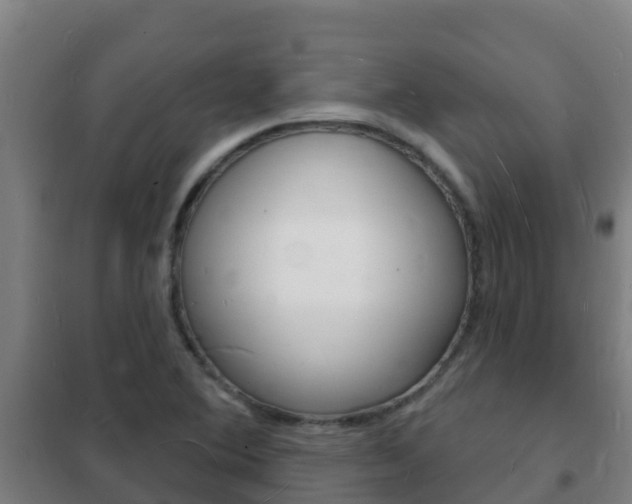 X0000102231364200807250759