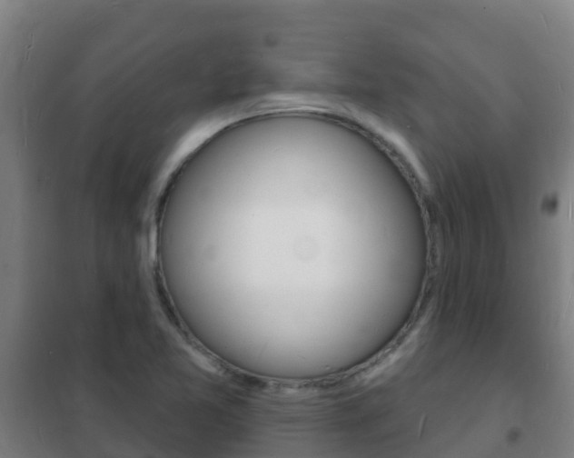 X0000102231365200807250759
