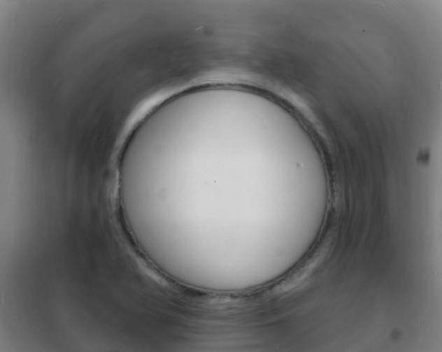 X0000102231366200807250759