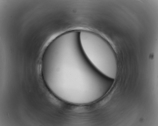 X0000102231367200807250759