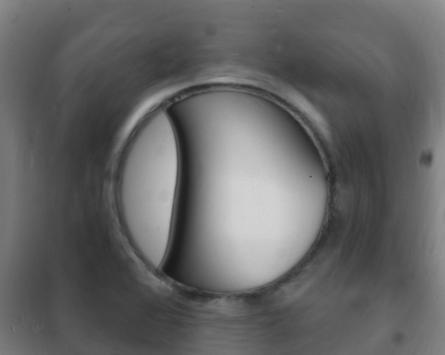 X0000102231368200807250759