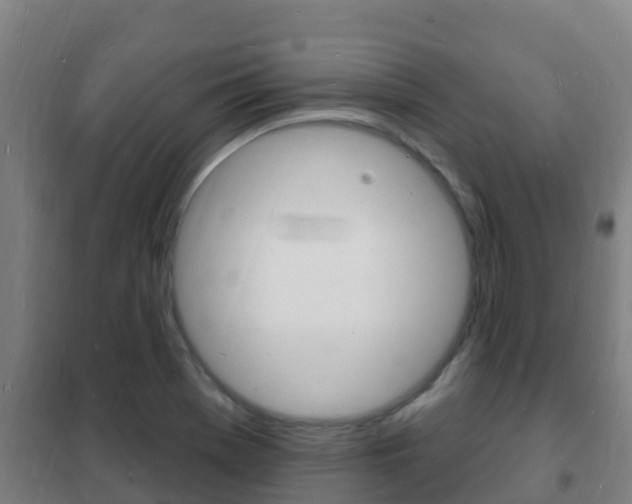 X0000102231369200807250759