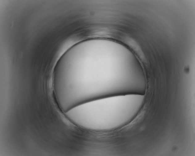 X0000102231370200807250759