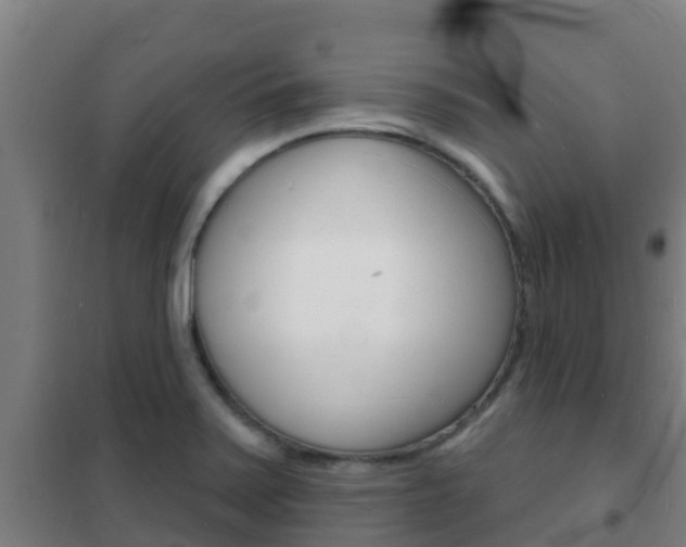 X0000102231371200807250759