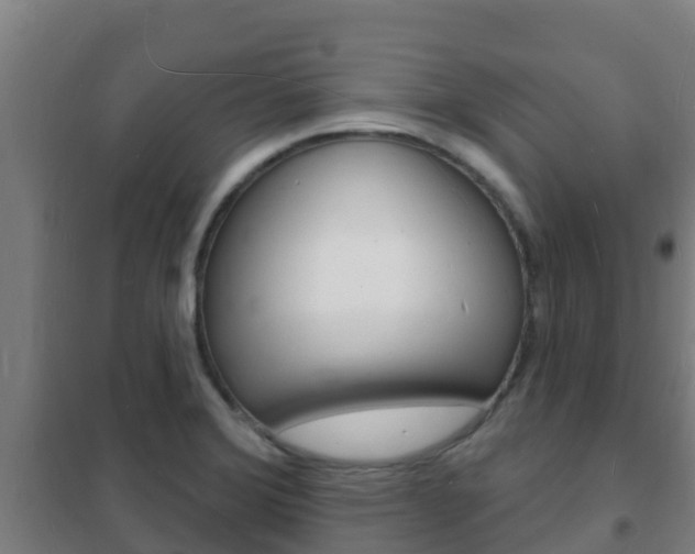 X0000102231372200807250759