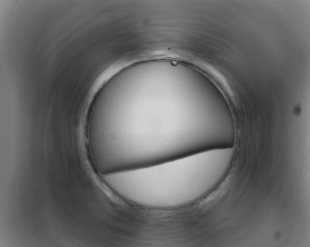 X0000102231373200807250759
