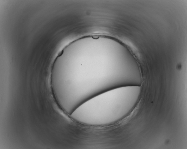 X0000102231374200807250759