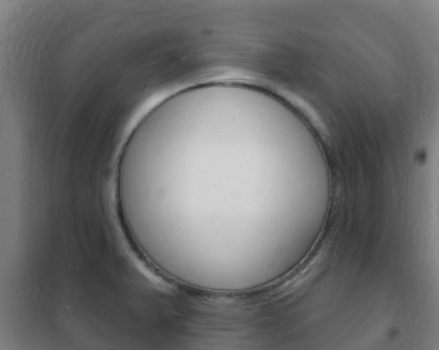 X0000102231375200807250759